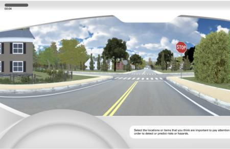 Risk-Anticipation Training to Enhance Novice Driving
